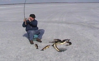 billicefishing