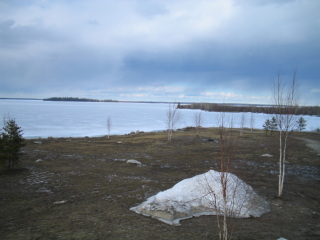 iceonlake